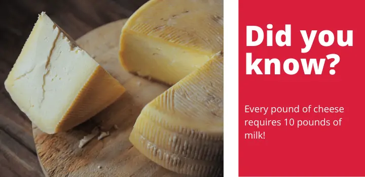 Cold Smoking Cheese Fact