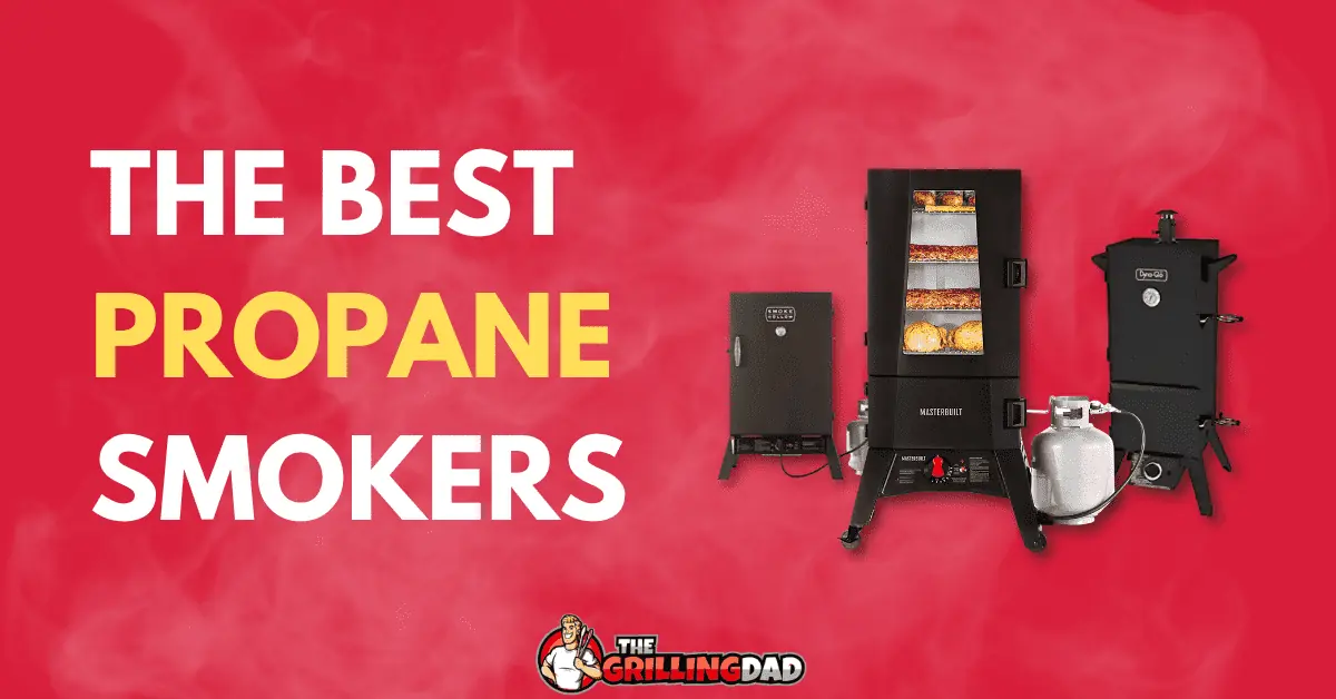 ✓ Top 5- Best Propane Smokers In 2023 [ Professional propane smoker ] 