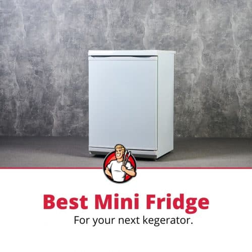 Top 5 Best Mini Fridges for a Kegerator (2022 Review) The Grilling Dad