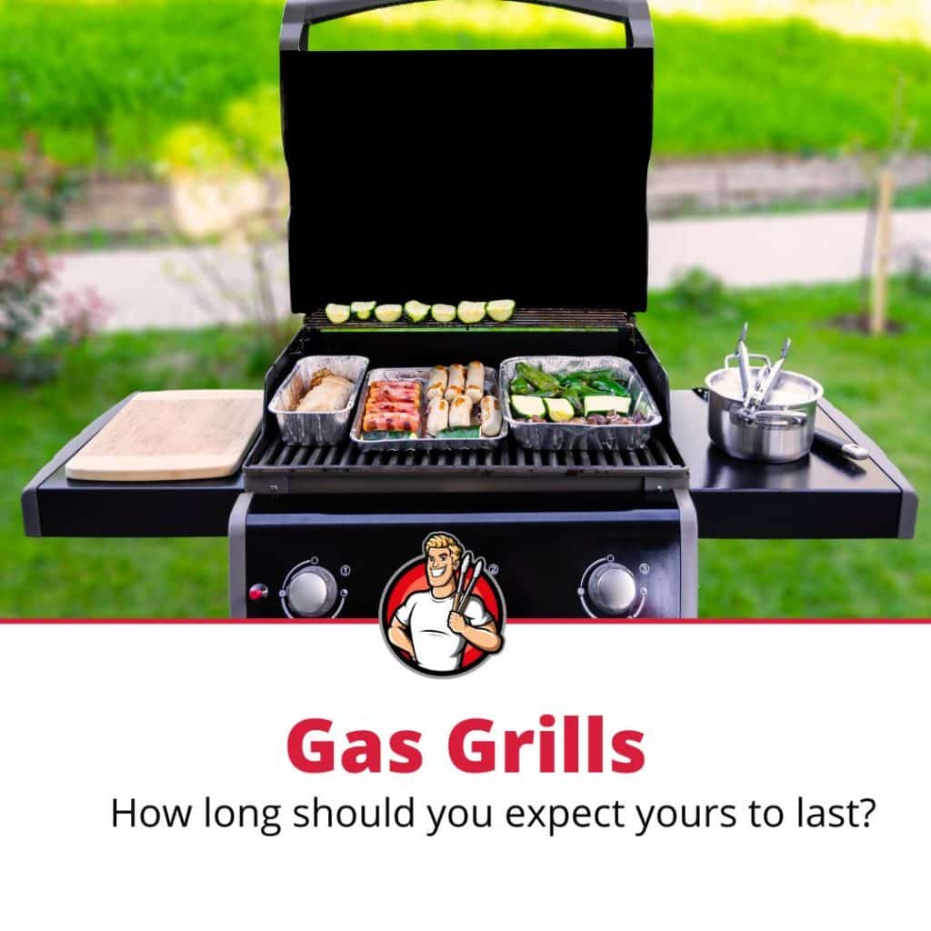 Pellet vs Kamado Grill (Which is Better?) The Grilling Dad