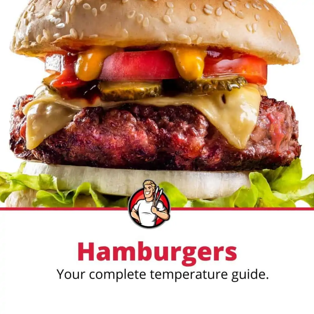 The Ultimate Hamburger Temperature Guide (Every Doneness Explained)