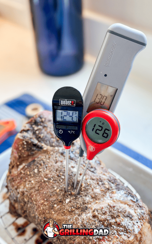 Thermoworks Thermapen ONE Review (Tried and Tested)